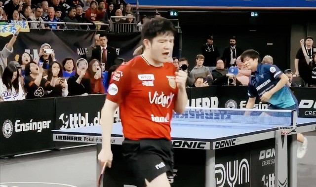 索林为什么怕樊振东继续打德甲了？看完昨日比赛，突然就明白了